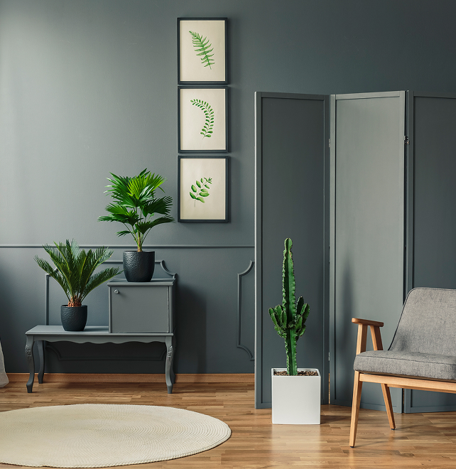 images/rooms/room-details2.jpg